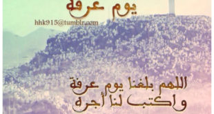 صور عن يوم عرفه