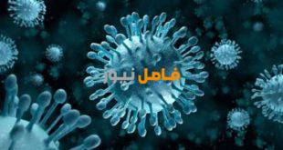 الصحة السعودية: تسجيل 17 إصابة جديدة بفيروس كورونا وإجمالى الإصابات 2402