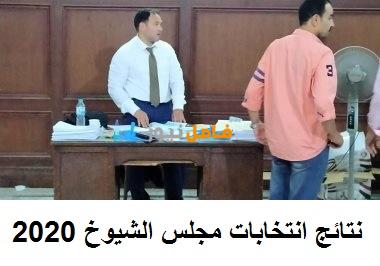 نتائج انتخابات مجلس الشيوخ المصري 2020