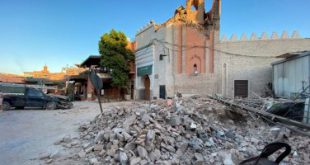 كم عدد ضحايا زلزال المغرب اليوم 2023