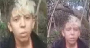 فيديو الطفل البرازيلى كامل portal do zacarias mangue 973